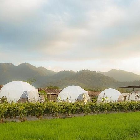 Borobudur Luxury Glamping Magelang Dış mekan fotoğraf