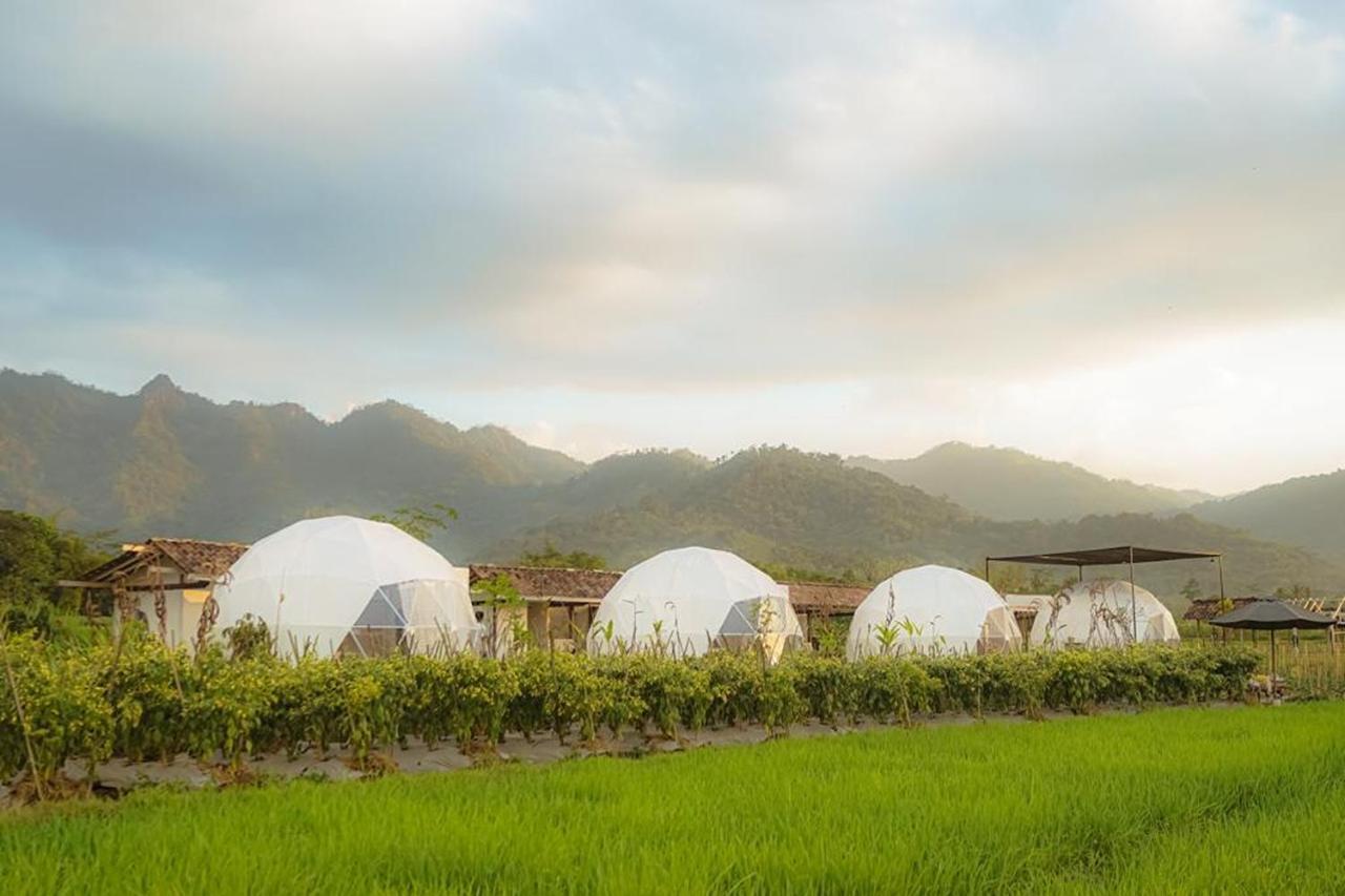 Borobudur Luxury Glamping Magelang Dış mekan fotoğraf