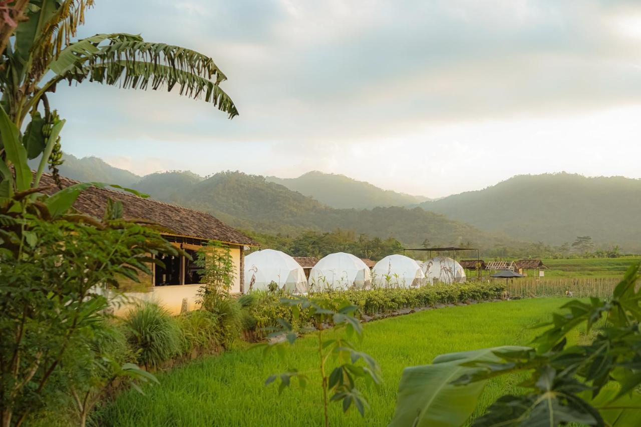 Borobudur Luxury Glamping Magelang Dış mekan fotoğraf