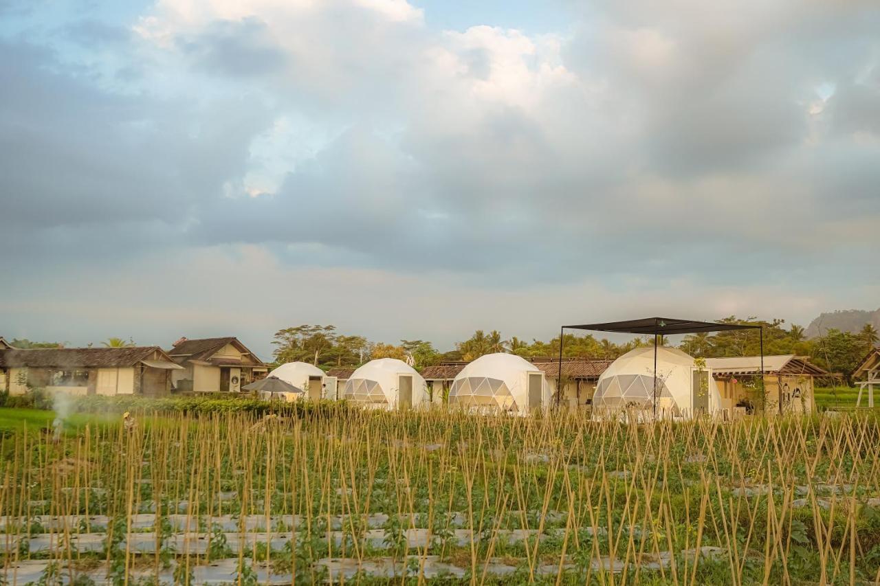 Borobudur Luxury Glamping Magelang Dış mekan fotoğraf